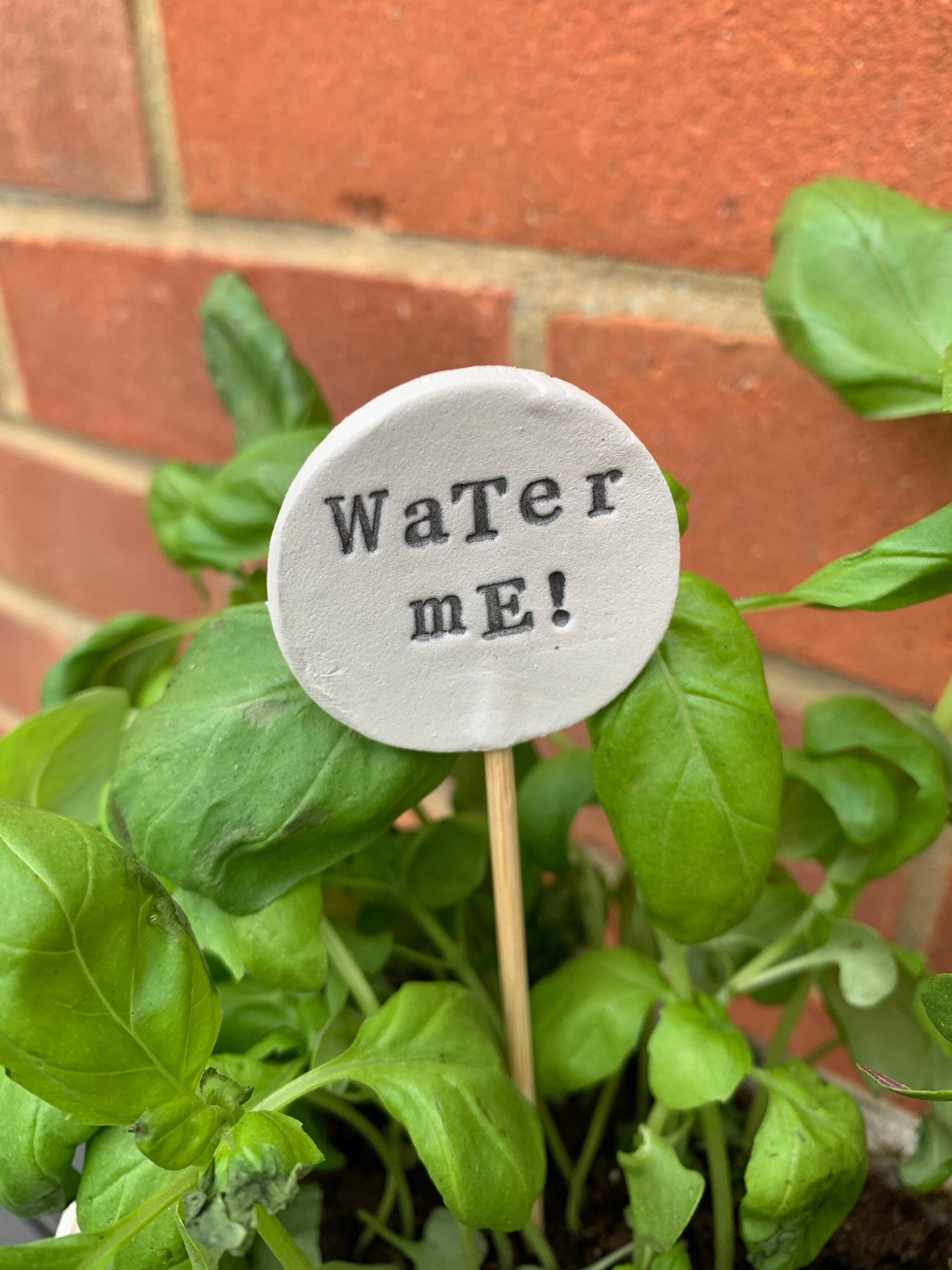 Plant tags herb garden tags plant labels herb labels funny Etsy