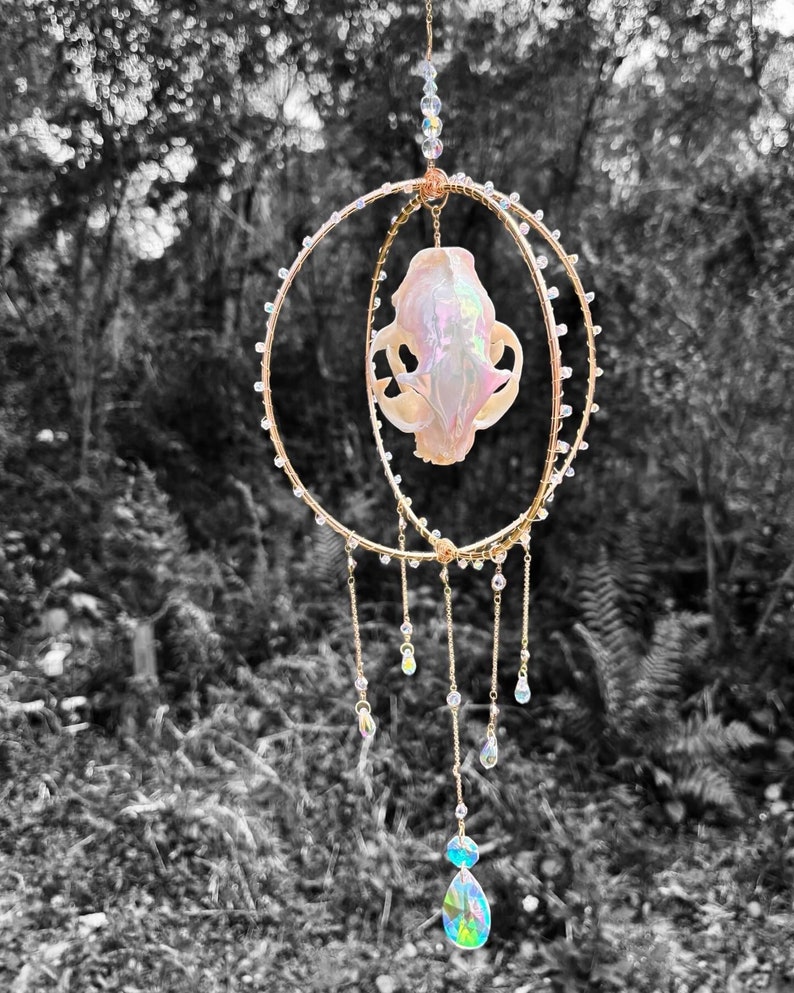 Cat Skull Suncatcher Orb Etsy