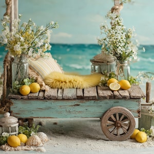 Può includere: Un carretto di legno turchese rustico dall'aspetto invecchiato, adornato con limoni, conchiglie e fiori bianchi. Il carretto presenta una coperta di pelliccia gialla e un cuscino a righe, sullo sfondo di una scena oceanica dipinta.