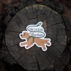 On Leash Adventures | Golden Retriever | Harness Sticker