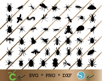 Download Cricut Svg Bugs Etsy