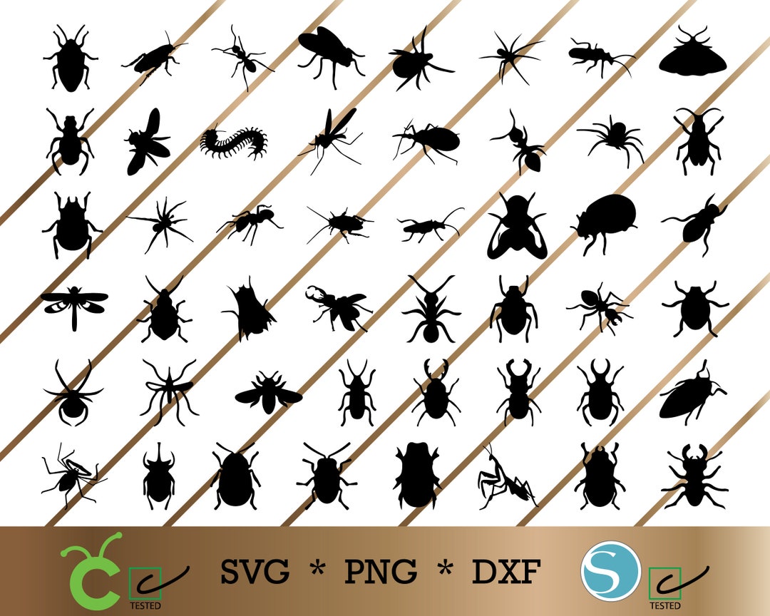 INSECT SVG Digital Download Insect DXF Insect Png Bugs Svg - Etsy Australia