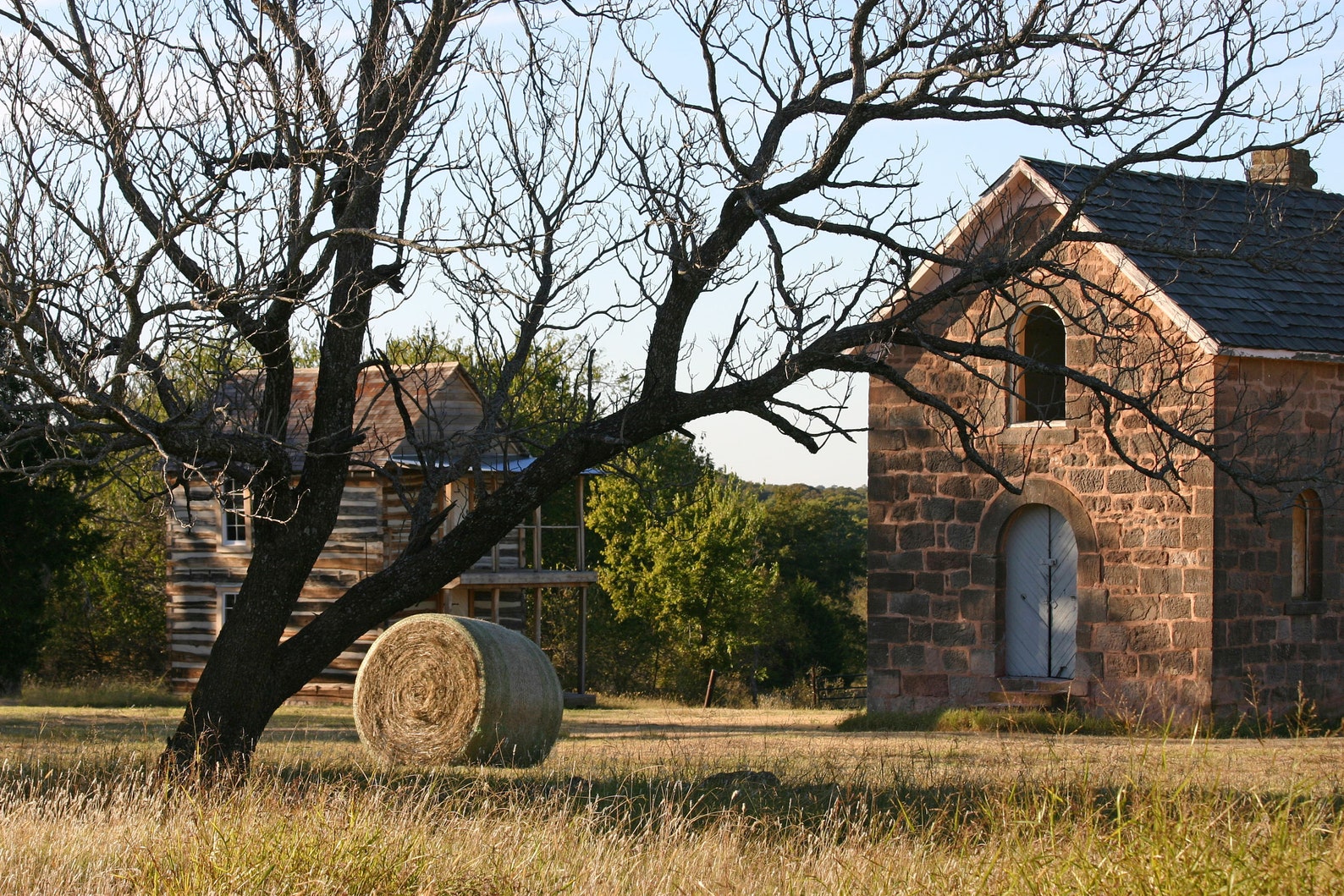 Sacred Hearts Taken near Asher Oklahoma. this has a great Etsy