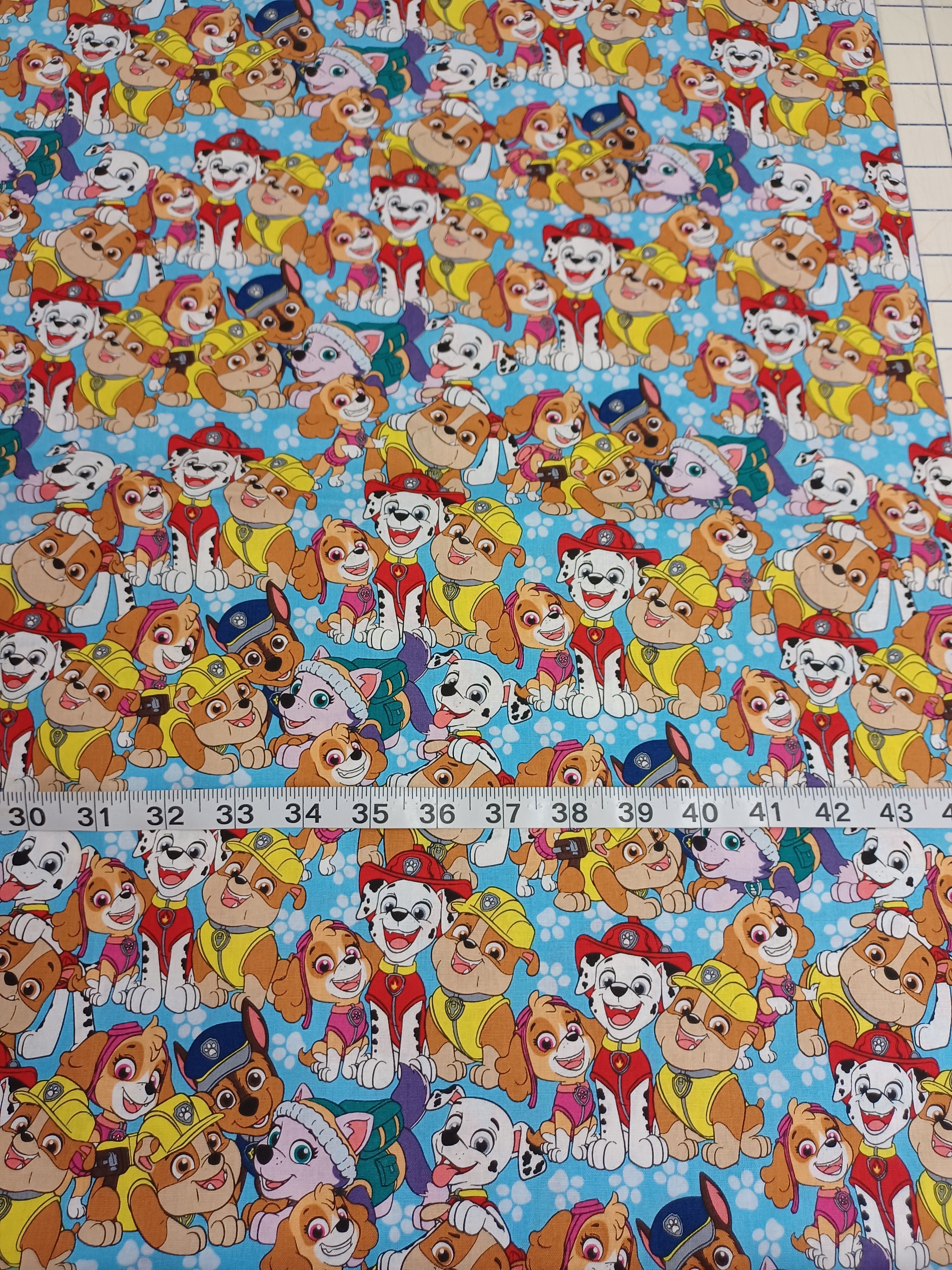 Paw patrol flannel sheets sales