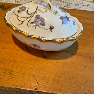 Spode カンパニュラ Spode Campanula Cup & Saucer | eBay