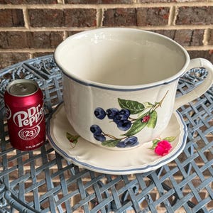 Large Villeroy and Boch Cottage Planter Set Blueberries and Apples New in Box Teacup Coffee Cup