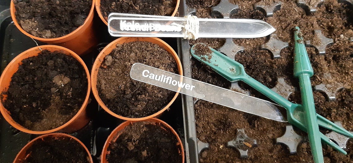 Acrylic Plant Labels. Etched Plant Labels. Plant Pot Labels. Etsy UK