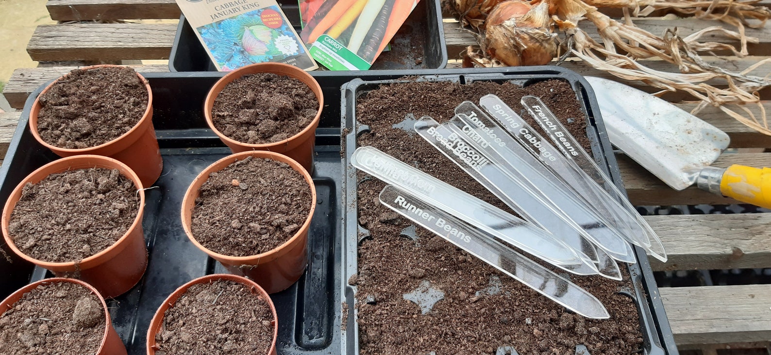 Acrylic Plant Labels. Etched Plant Labels. Plant Pot Labels. Etsy UK