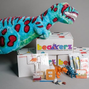 Box #5 - Dinos & Minerals