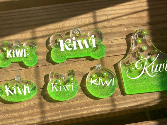 wet food bad for cats