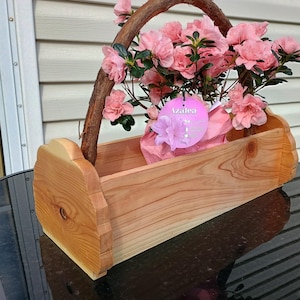 May include: A wooden planter with a curved handle, filled with pink azalea flowers. The planter has a label that reads "Azalea".