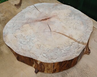 Broken Cracked Flattened Rock Maple Tree Slice Irregular Shape End ...