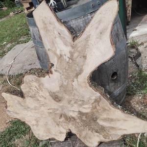 May include: A large, irregularly shaped, light-colored wood slab with a natural edge. The wood has a light brown grain pattern and is partially resting on a wooden barrel. The slab is approximately 40 inches wide.