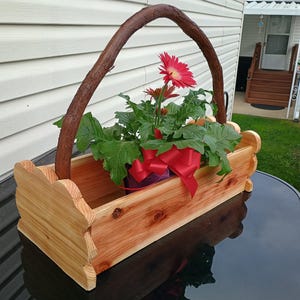 May include: A wooden planter with a curved wooden handle, featuring a red gerbera daisy plant. The planter is made of natural wood with a reddish-brown stain.