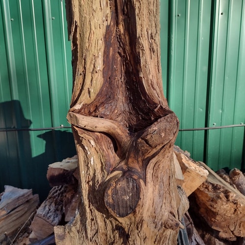 Cedar table leg live edge table leg tree stump table leg log decor end