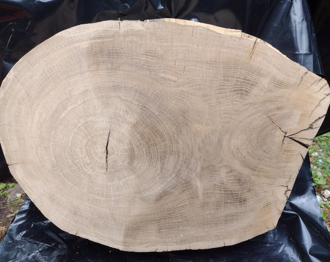 21.25/9.8 Sale White Oak Tree Slice Wood Cookie Rounds Epoxy Table