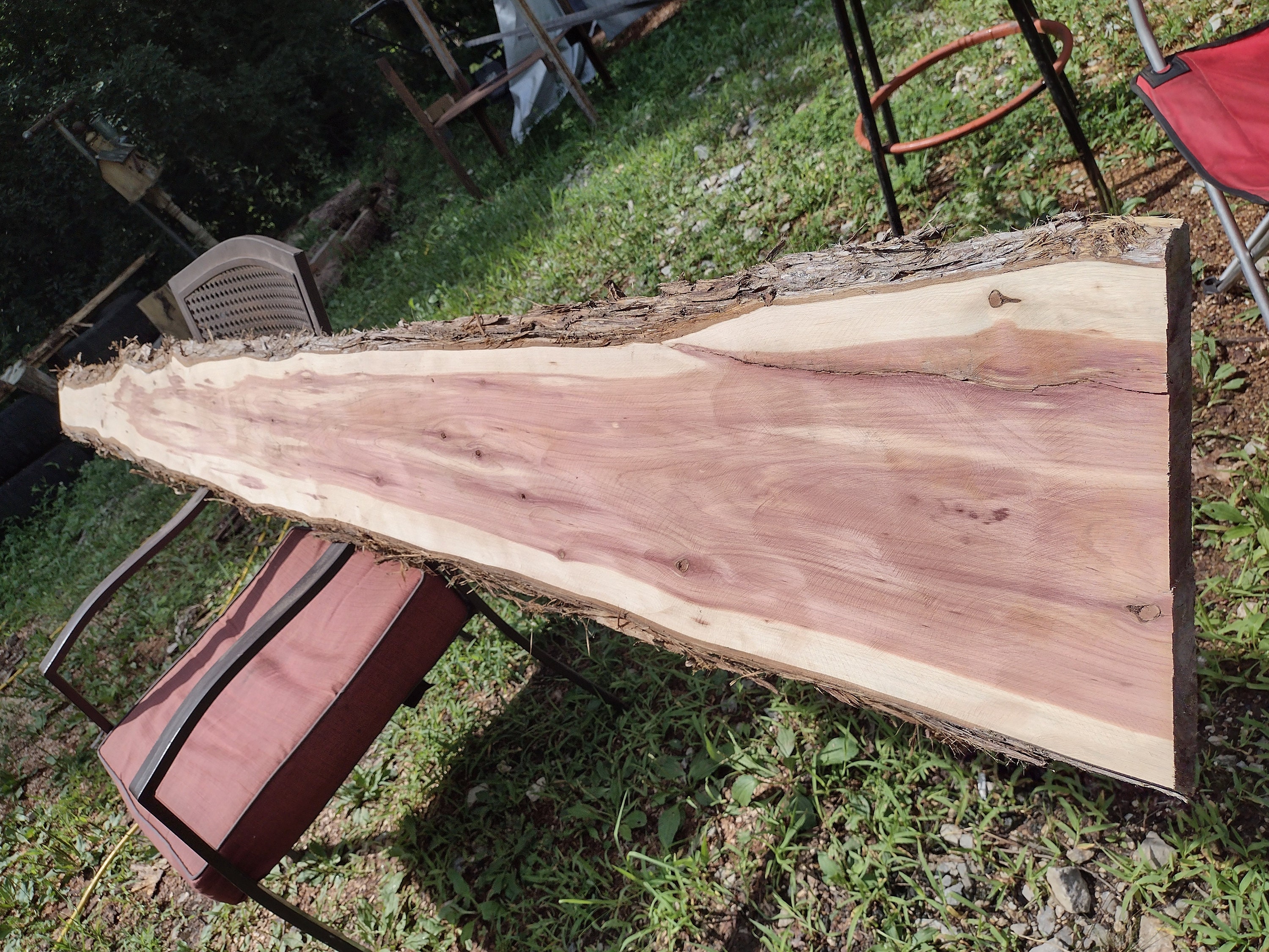 1617” wide 1.5” thick live edge aromatic eastern red cedar planks