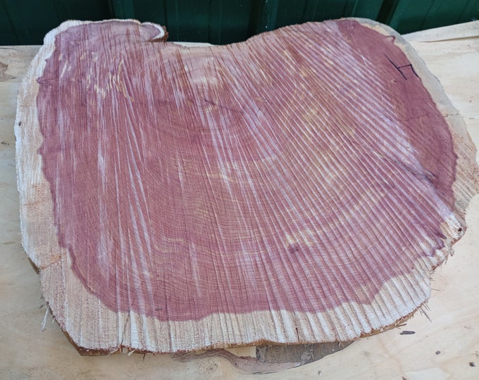 23* Mill Sawn Eastern Red Cedar Tree Slice Wood Cookie Round Unfinished ...