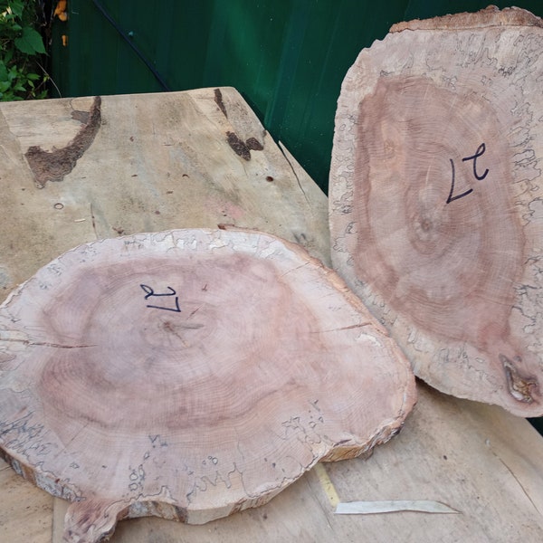 Wood Wall Art Cookie Slab Etsy