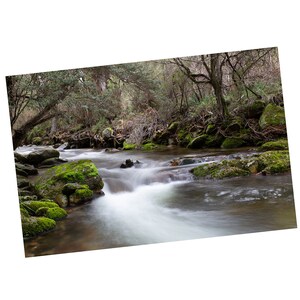 Leather Barrel Creek, Kosciuszko National Park