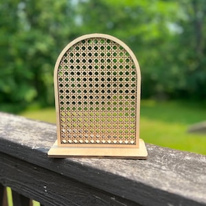 Rattan Look Earring Organizer
