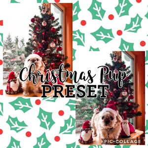 Mobile Lightroom Presets CHRISTMAS PUP | Instagram Presets | mobile Lightroom