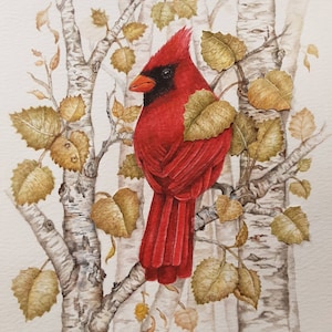 Hand Painted Cardinal Print, Watercolor Birch Tree with Male Cardinal