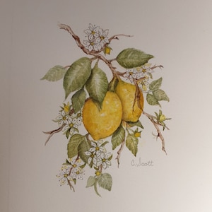 Lemons and blossoms watercolor botanical, kitchen decor, Lemon Painting