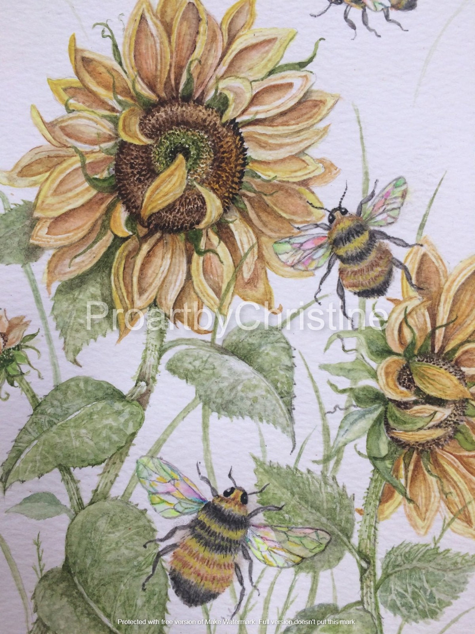 Sunflowers and Honey Bees Watercolor Illustration Paintings Etsy 日本