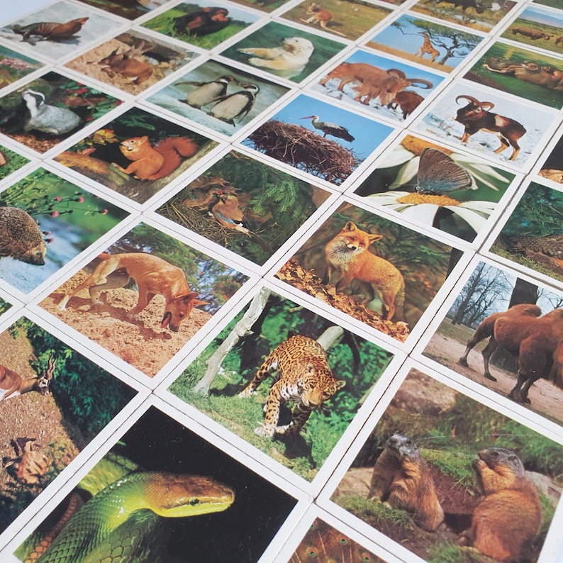 1976s Animal Lotto Cardboard Game with 6 game boards and 54 | Etsy