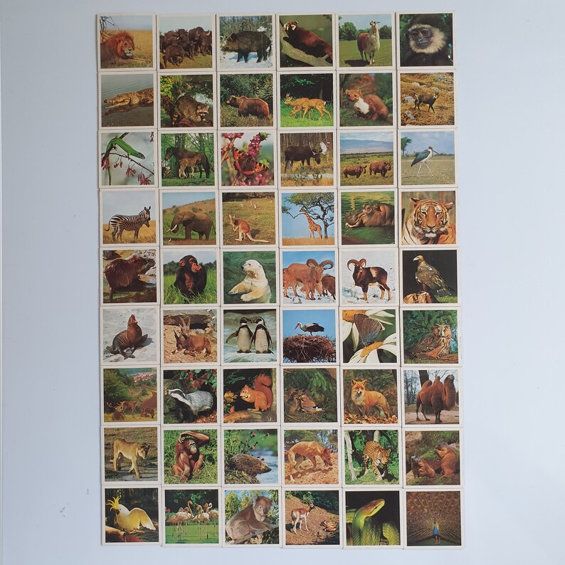 1976s Animal Lotto Cardboard Game avec 6 planches de jeu et 54 | Etsy