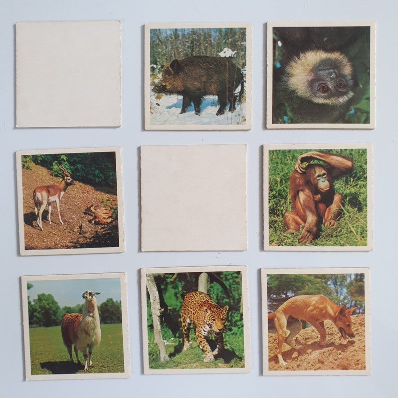 1976s Animal Lotto Cardboard Game with 6 game boards and 54 Etsy