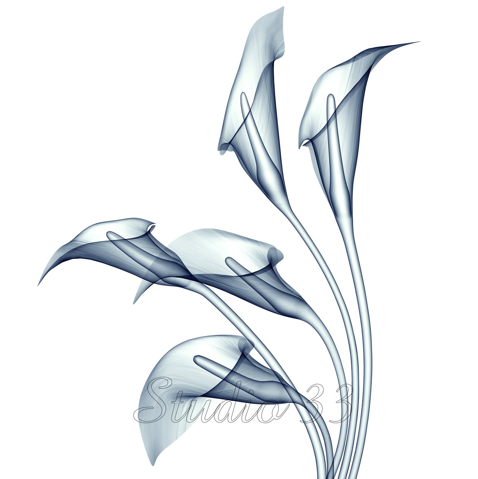 XRay Flower Art Digital Image Downloadable Art Print set of Etsy