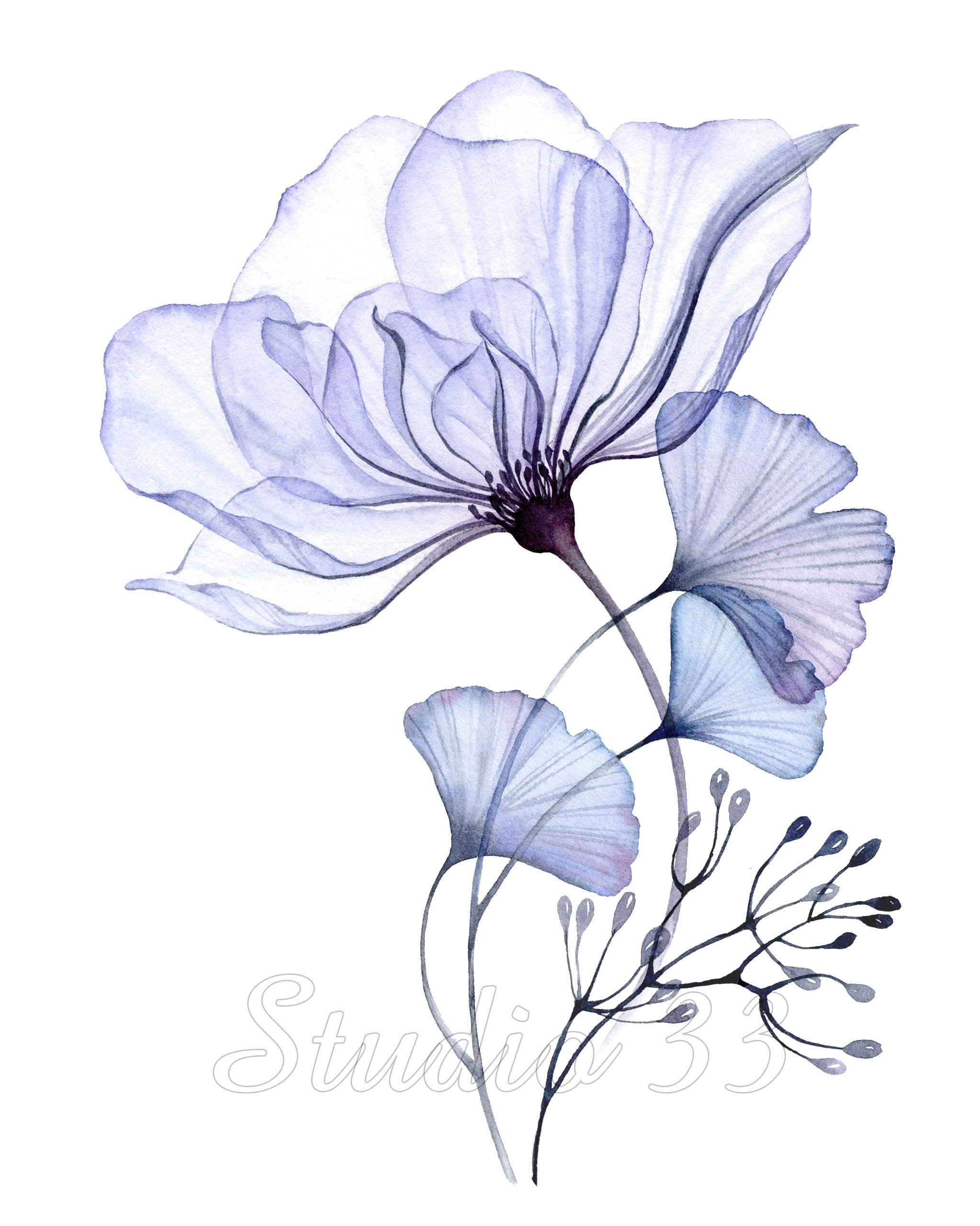 Downloadable Xray Flower Prints, Downloadable Art Print Set of 2