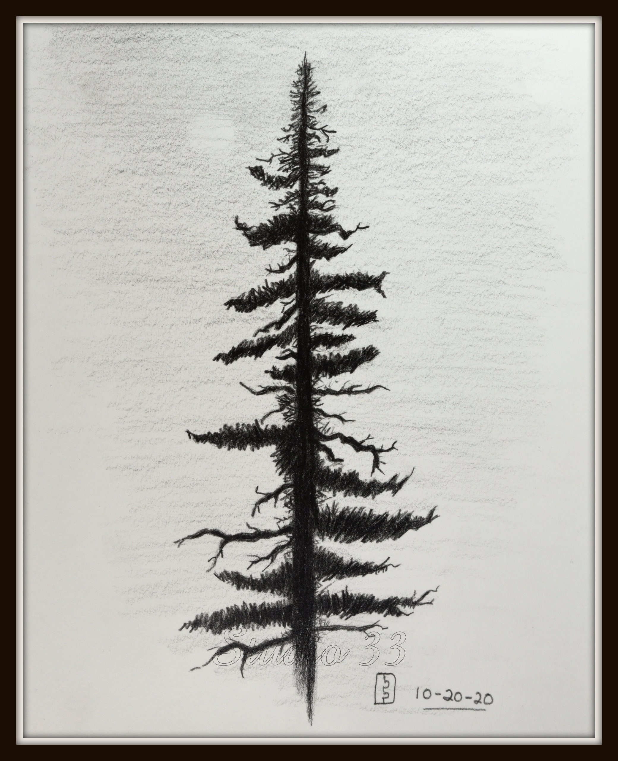 Pine Tree, Pen and Ink Drawing, Downloadable Art, Printable Digital ...