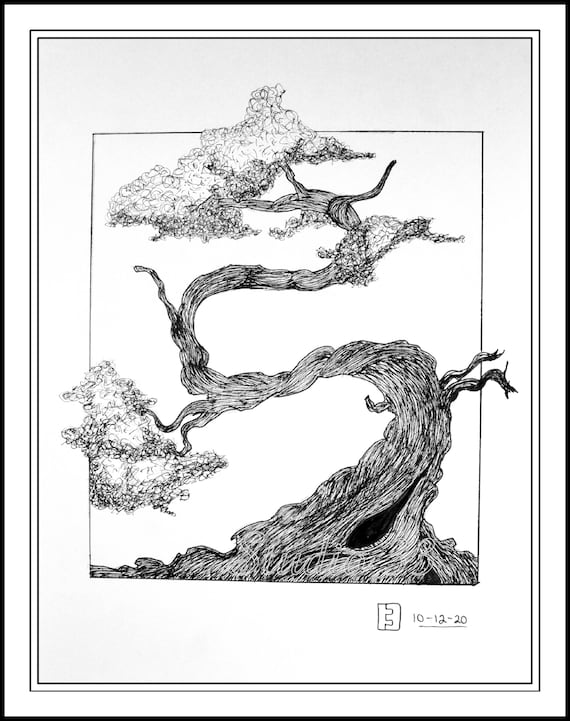 Japanese Bonsai Trees Drawing