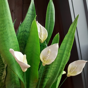 Puede incluir: Una planta en maceta con hojas verdes y flores blancas. Las flores tienen forma de lirios de la paz.
