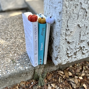 May include: Three books stacked vertically with a crocheted pumpkin bookmark on each. The books are titled "A Mind for Numbers", "Wonder", and "Pale Rider".