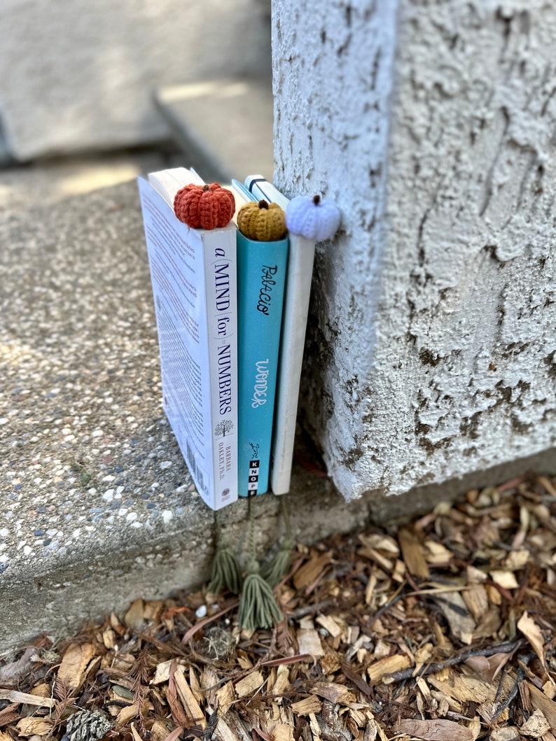 May include: Three books stacked vertically with a crocheted pumpkin bookmark on each. The books are titled "A Mind for Numbers", "Wonder", and "Pale Rider".