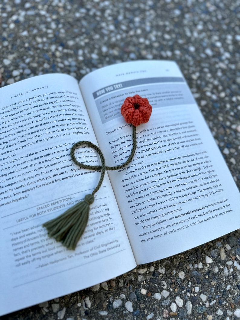 May include: An open book with a green tassel bookmark and a crocheted red flower bookmark. The book's pages feature text about memory techniques and learning.