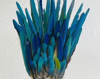 75 Beautiful Cruelty Free Macaw Parrot Feathers!!! Rare Find!