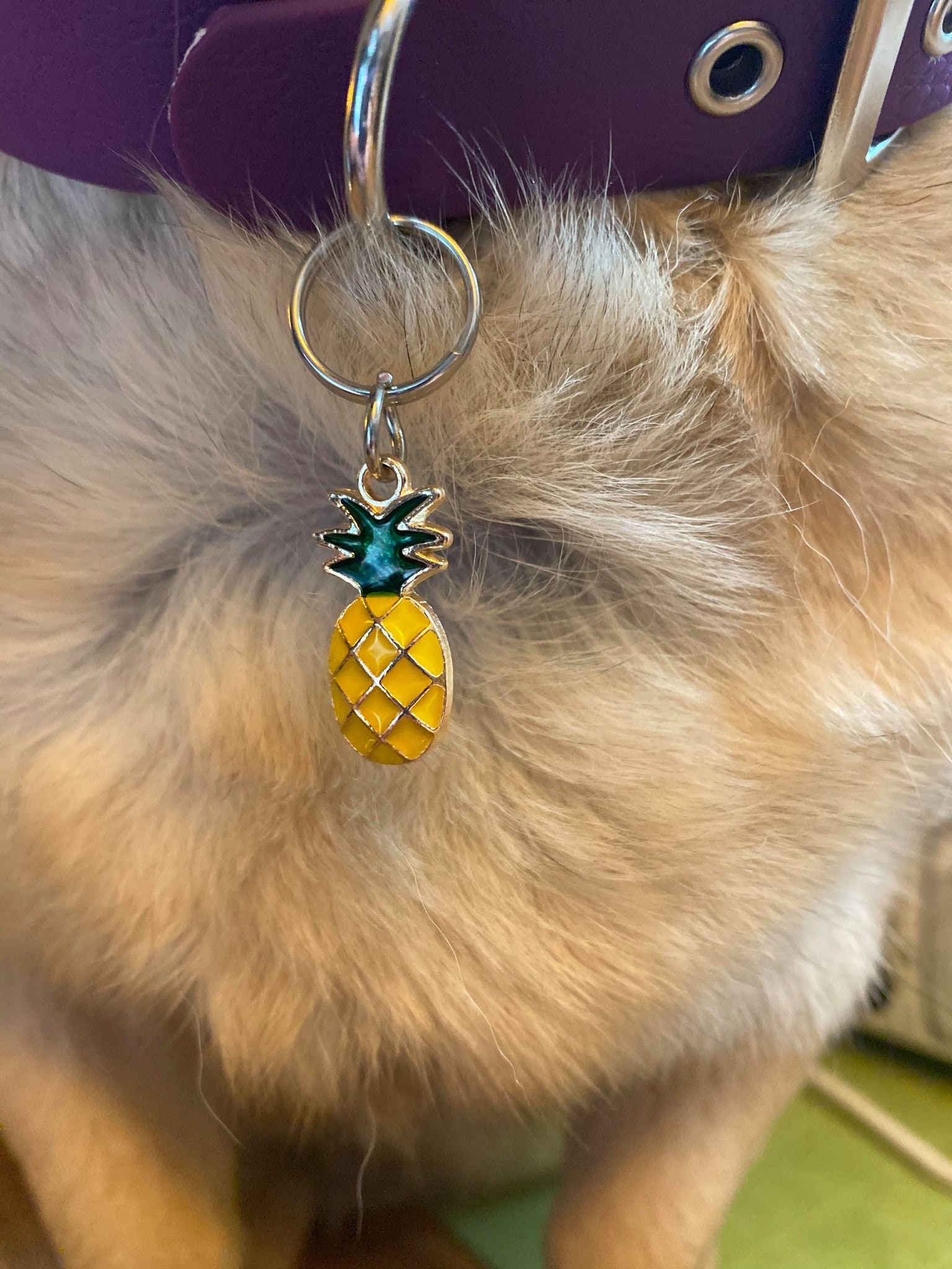 AnanasHundehalsband Charme Tag für Hunde Ananas Tag Hunde Etsy