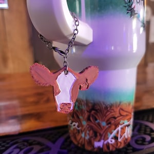 Tumbler charm, Baldy face show cattle, Red, Black, Heifer, steer, Hereford, Simmental, stock show, showing livestock, show mom, show dad