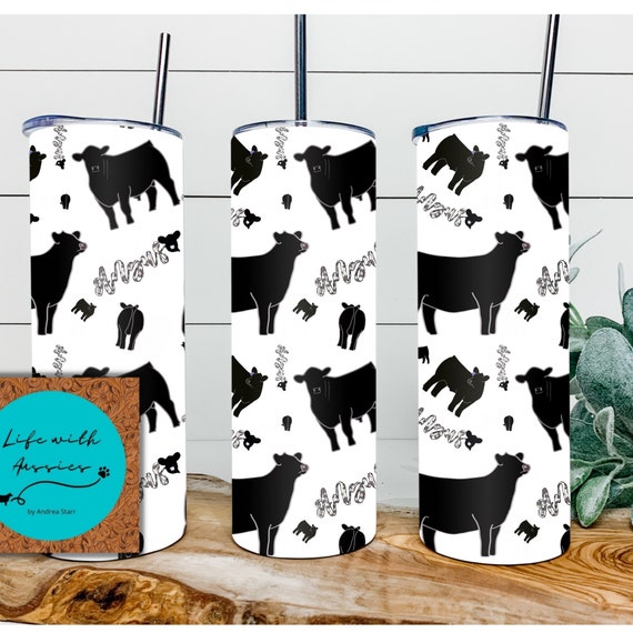Absolutely Angus, Water bottle, 20 oz tumbler or 4 in 1 can/bottle cooler tumbler combo, showing, stock show, steer, heifer, cattle, gift