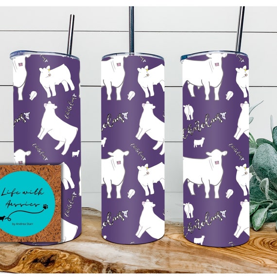 Cheery Charolais, Water bottle, 20 oz tumbler or 4 in 1 can/bottle cooler tumbler combo, showing, stock show, steer, heifer, cattle, gift