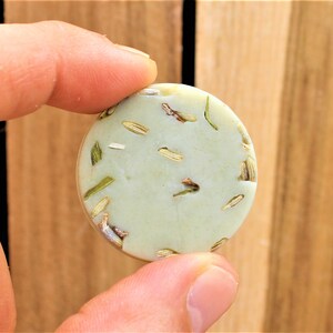 May include: A round, light green soap bar with dried herbs and flowers embedded in it.