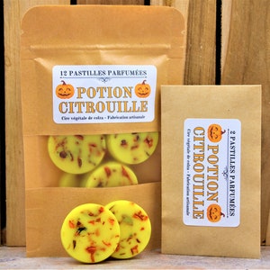 May include: Two packages of scented wax melts. One package contains 12 yellow, round wax melts with orange and brown flecks, labeled "POTION CITROUILLE". The other package contains 2 melts. Both packages are in brown paper bags.