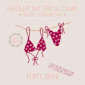 Bikini Needlepoint Chart | Summer Stitch Pattern | Digital Download PDF | Swimsuit Canvas Design | 18 Mesh Needlepoint