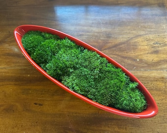 Preserved Moss Centerpiece: Red Oblong Ceramic Bowl, Natural Table Decor, Maintenance Free Greenery!