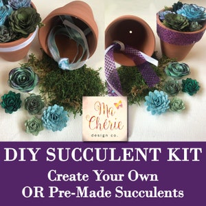 Ready to Create, DIY SUCCULENT KIT. Easy Assembly-Multiple Options!  Project, Craft, Make Yourself, Fun Activity!